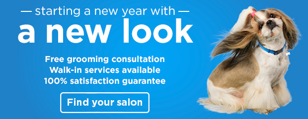 Starting a new year with a new look. Free grooming consultation. Walk-in services available. 100% satisfaction guarantee. Find your salon. 