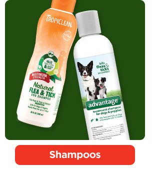 Shampoos.