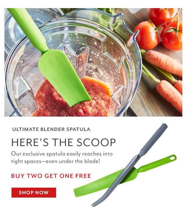 Blender Spatula