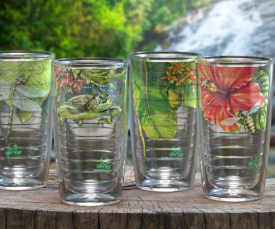 Recycled tumblers