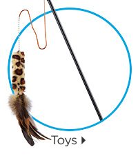 Toys.