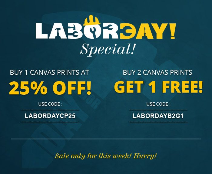 Special Offer: Buy 1 Get 25% OFF, Buy 2 Get 1 Free on Canvas Prints!