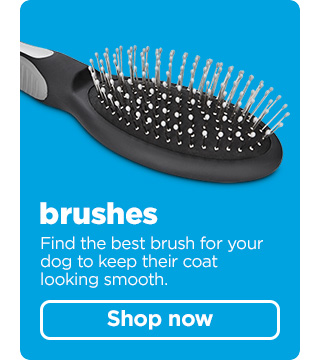 Brushes. Find the best brush for your dog to keep their coat looking smooth. Shop now. 