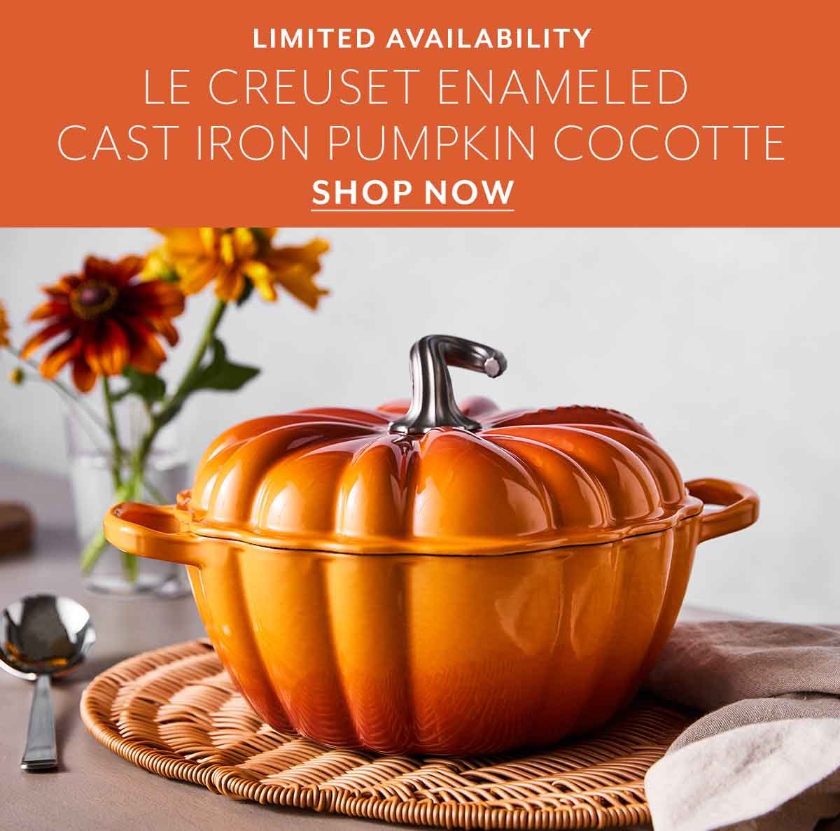 Le Creuset Enameled Cast Iron Pumpkin Cocotte, 4 Qt. (7) Reviews