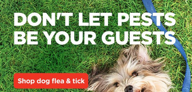 Don't let pests be your guests. Shop dog flea & tick.