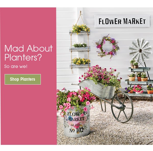 Mad About Planters So are we! Shop Planters