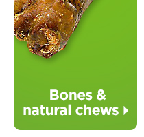 Shop bones and natural chews >