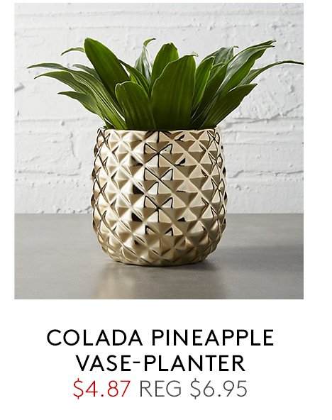 colada pineapple vase-planter