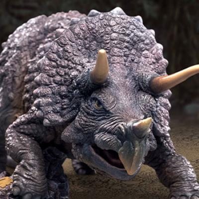 Triceratops Statue by Star Ace Toys Ltd.