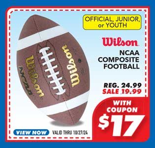 Wilson NCAA Composite Football