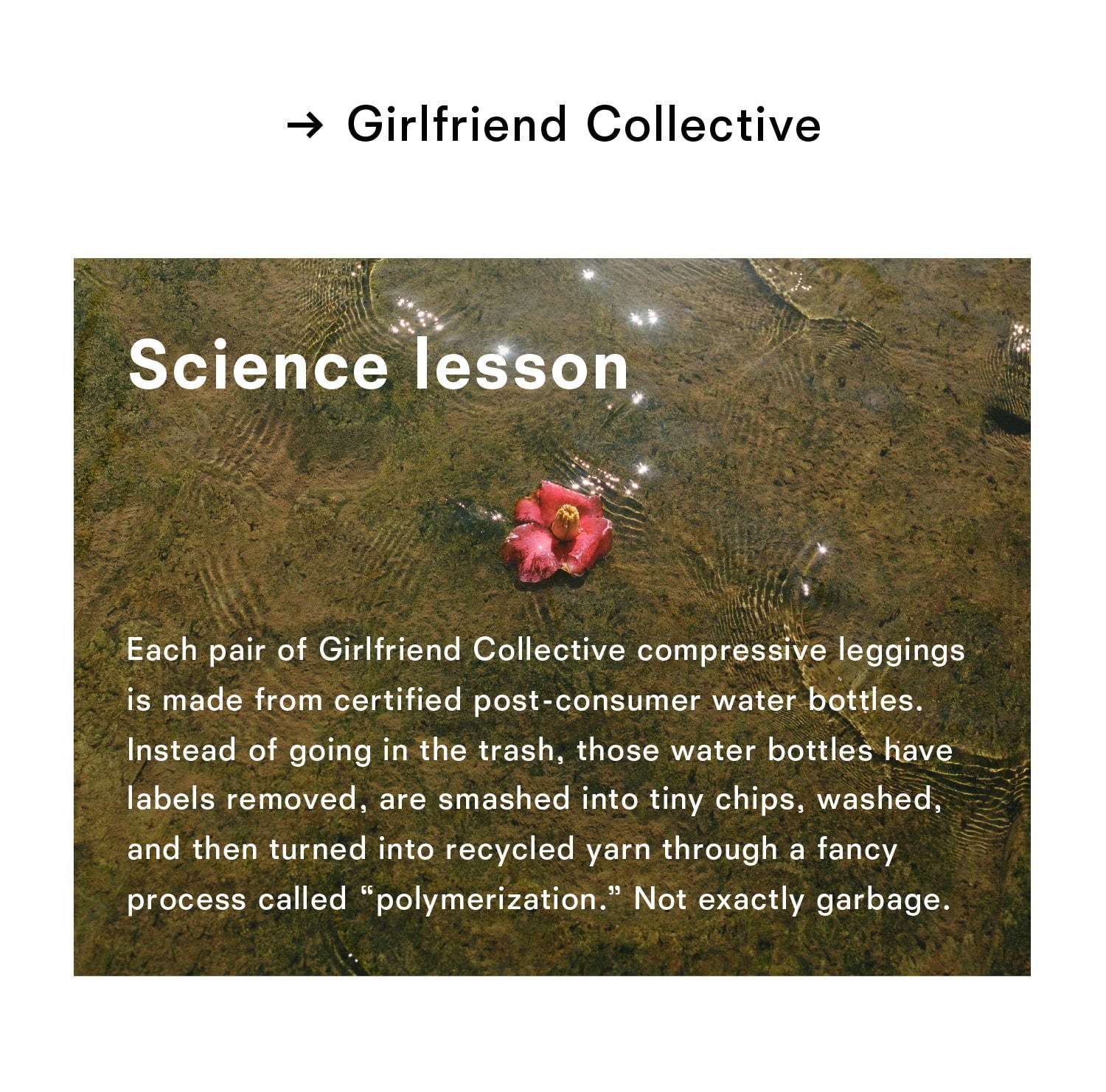 Girlfriend collective