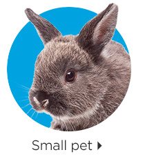 Small pet.