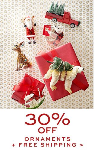30% OFF ORNAMENTS + FREE SHIPPING >