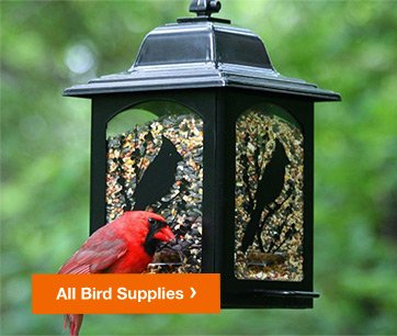 ALL BIRD SUPPLIES