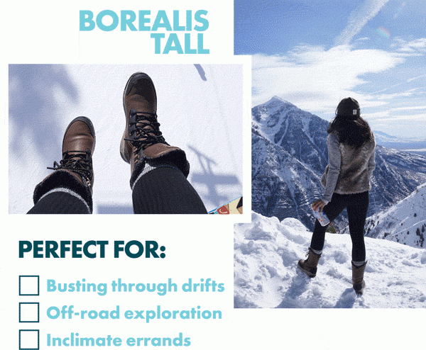 Borealis Tall