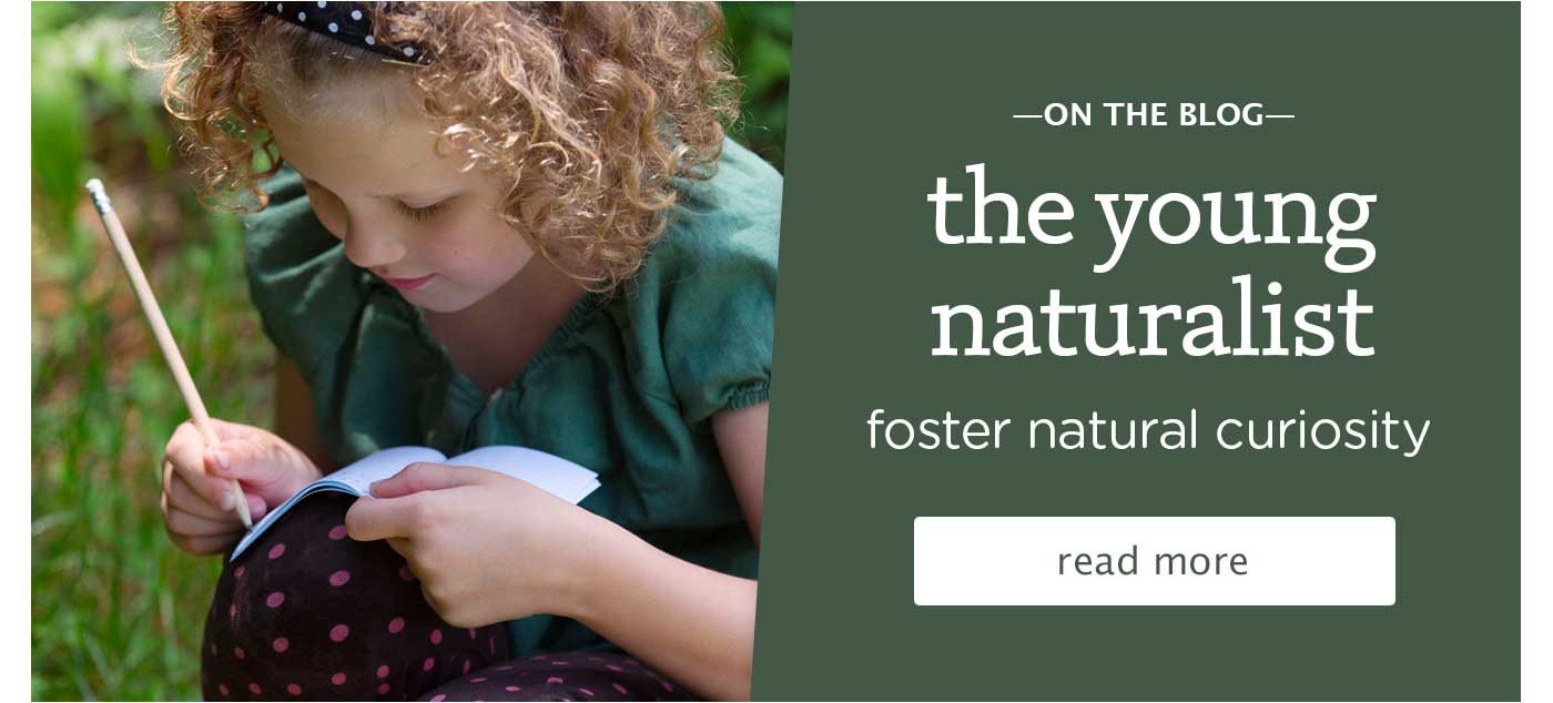 the young naturalist