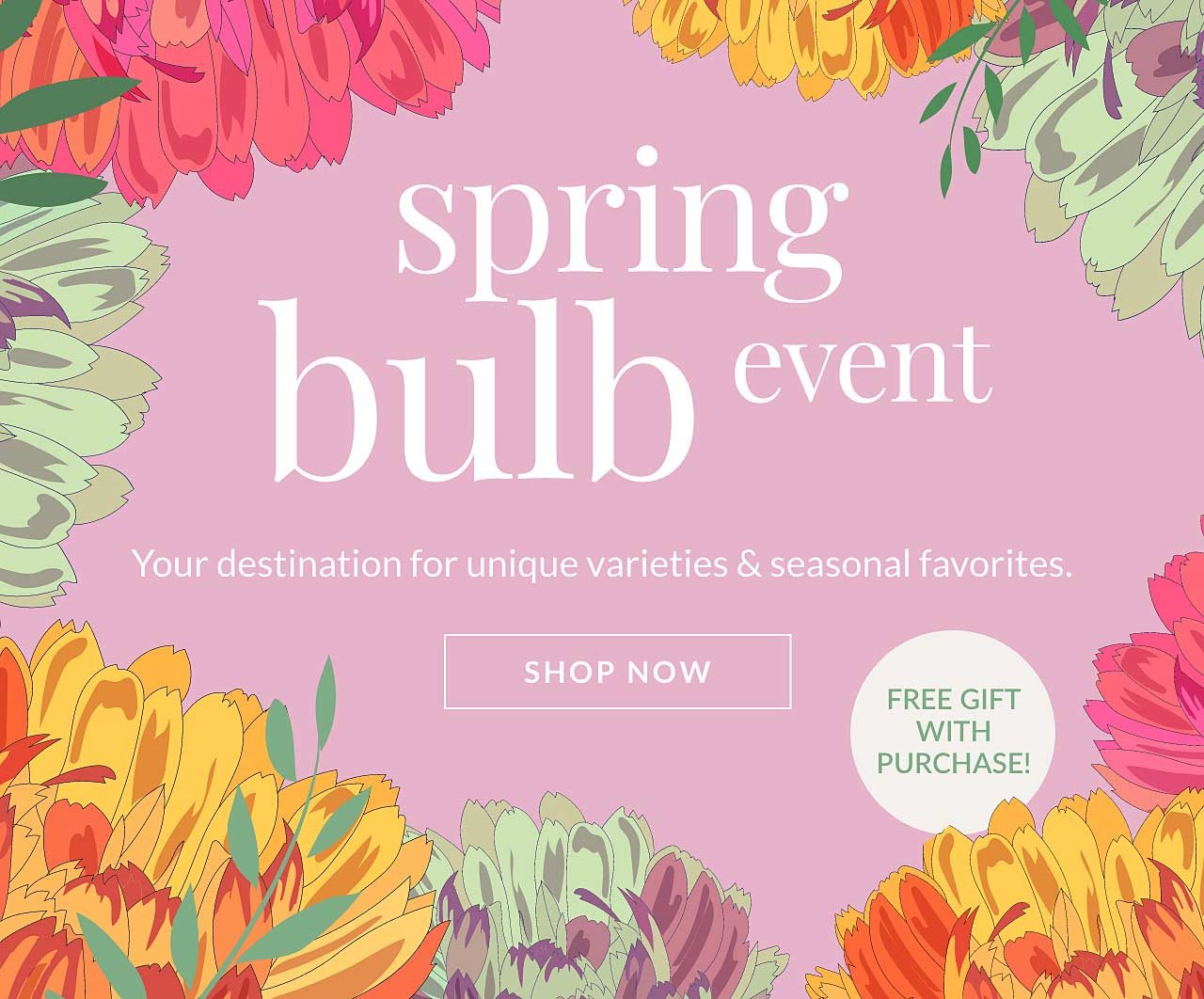 SPRING BULB EVENT, SHOP NOW