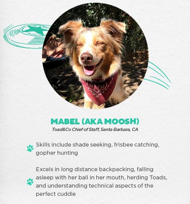 Mabel (AKA Moosh) Chief of Staff