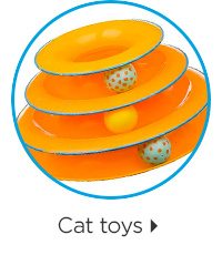 Cat toys.