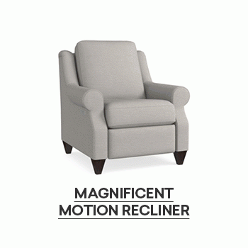 Magnificent motion reclining chair. Shop now.