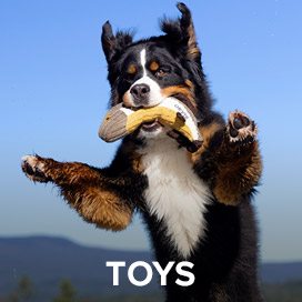 DOG TOYS