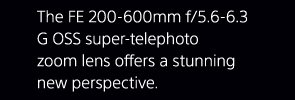 The FE 200-600mm f/5.6-6.3 G OSS super-telephoto zoom lens offers a stunning new perspective.