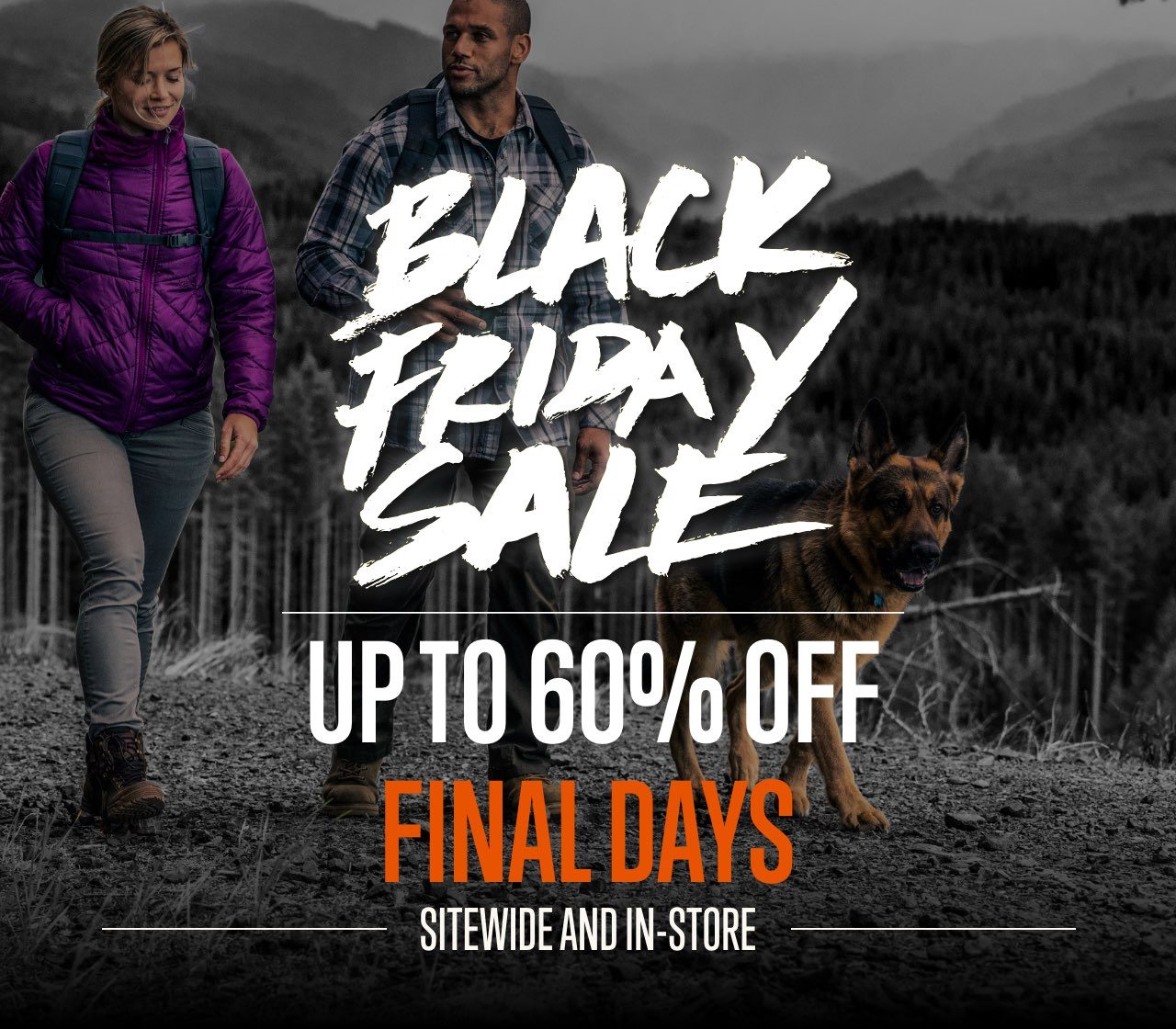 Black Friday Sale | 25% Off