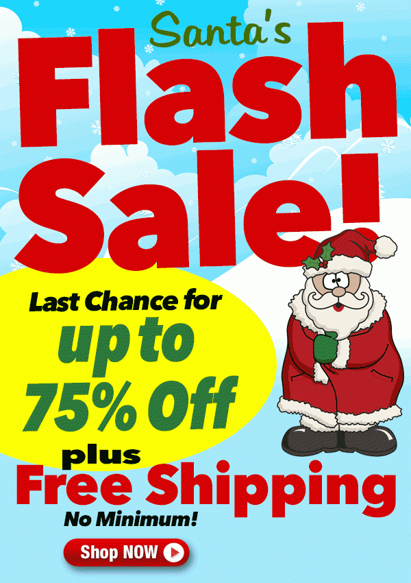Last Call for Santa's Flash Sale and BIG savings!