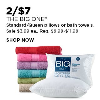 2 for $7 The Big One pillow or bath towel. Select Styles. Sale 3.99 each, Reg. 9.99-11.99. Shop Now.