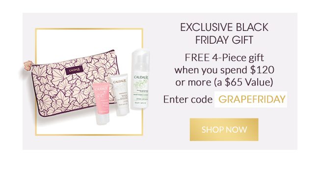 Exclusive Black Friday Gift with code