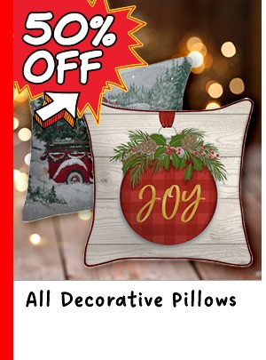 All Decorative Pillows