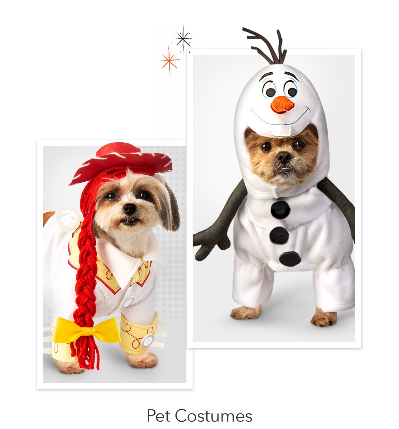 Shop Pet Costumes | Shop Now