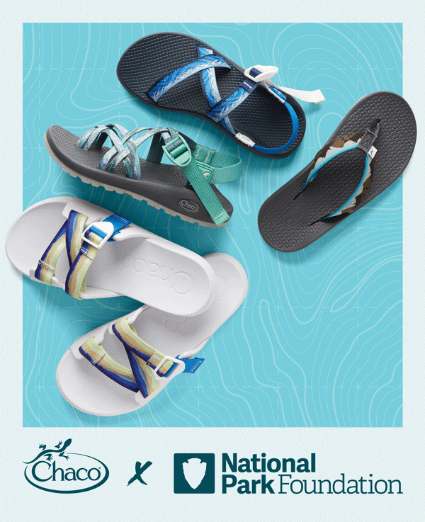 NPF CUSTOM MYCHACOS - IMG