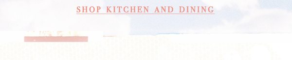 Shop kitchen and dining.