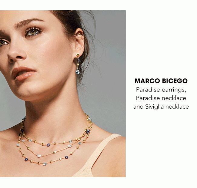 MARCO BICEGO