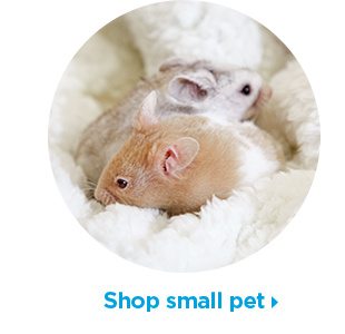 Shop small pet.