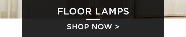 Floor Lamps - Shop Now >