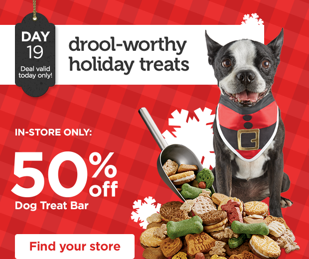 DAY 19. Deal valid today only! Drool-worthy holiday treats. IN-STORE ONLY: 50% off Dog Treat Bar. Find your store. 