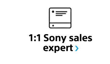 1:1 Sony sales expert