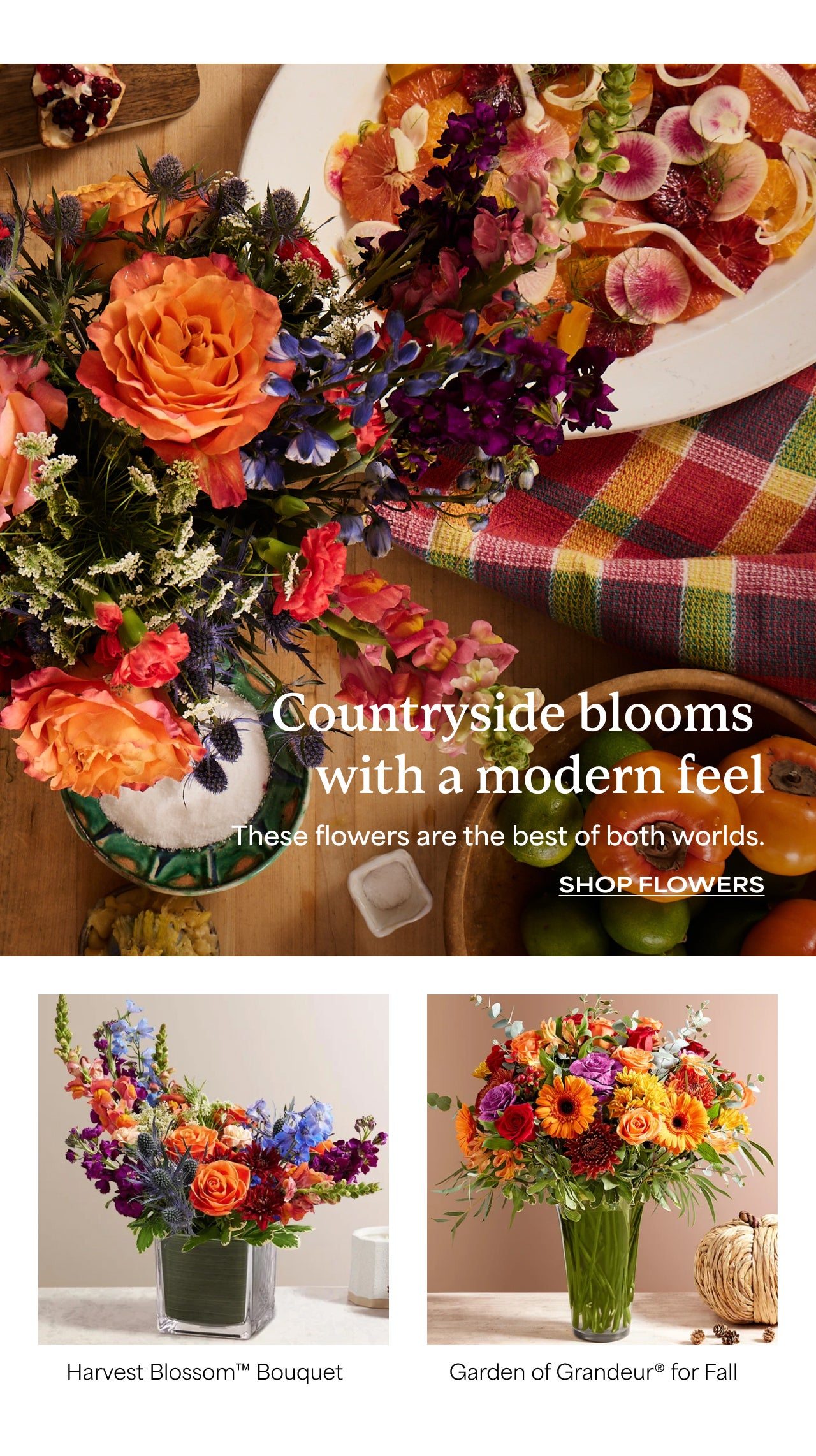 Countryside Blooms with a Modern Feel | These Flowers are the Best of Both Worlds | Shop Flowers