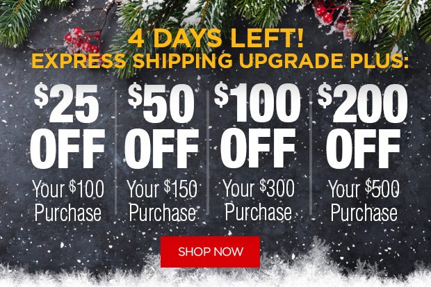 4 Days Left - Express Shipping Upgrade