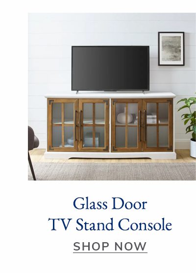 Glass Door TV Stand | SHOP NOW