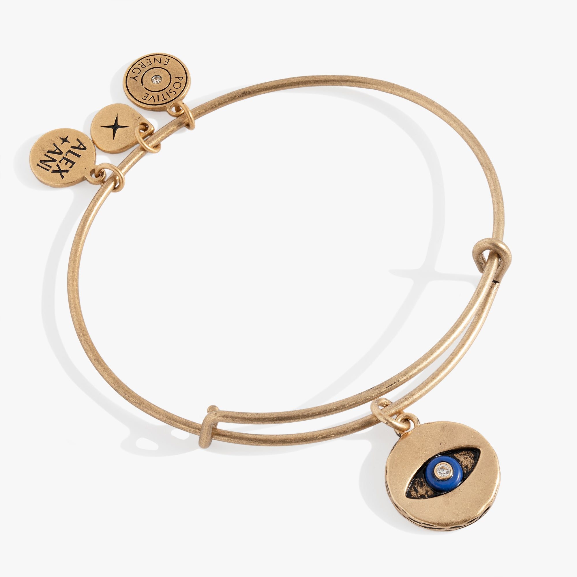 Image of Untamed Evil Eye Charm Bangle