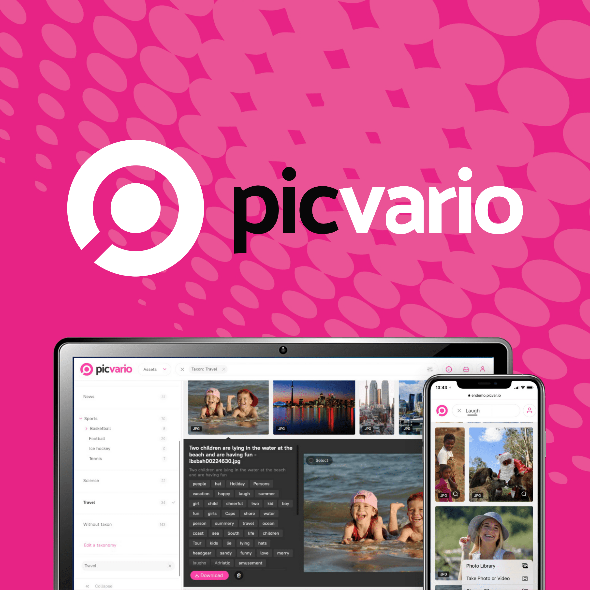 Lifetime access to Picvario