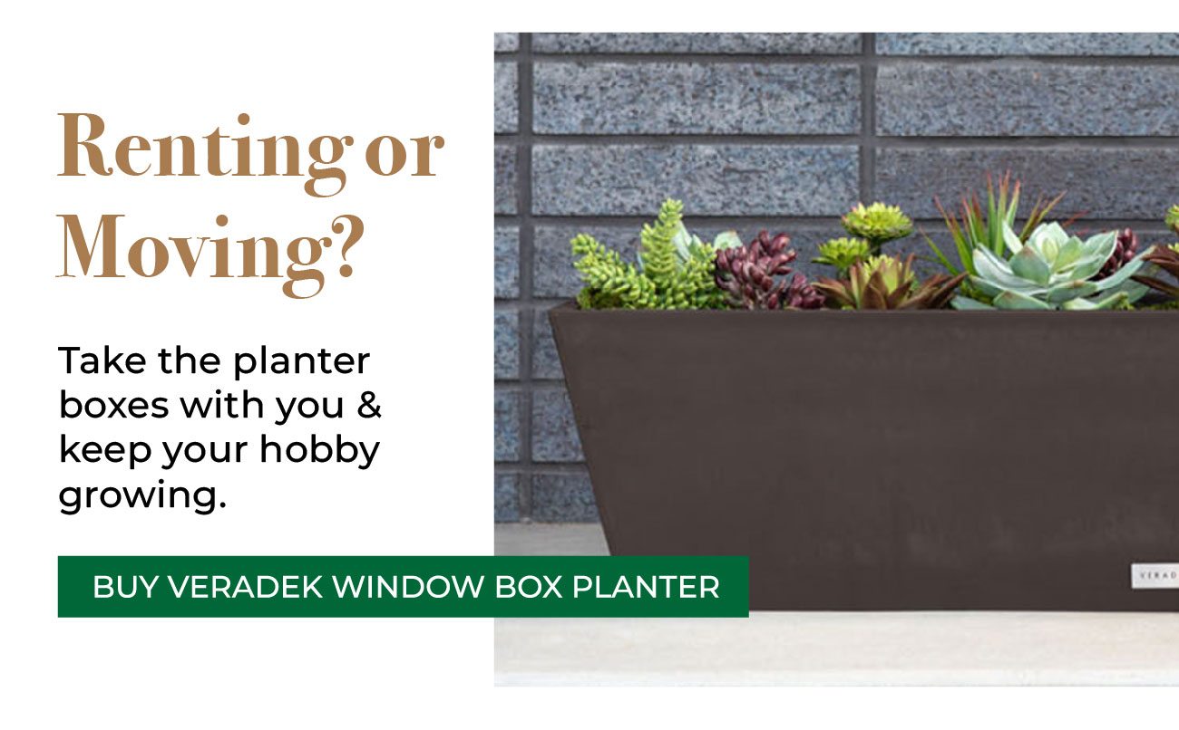 Veradek Window Box Planter
