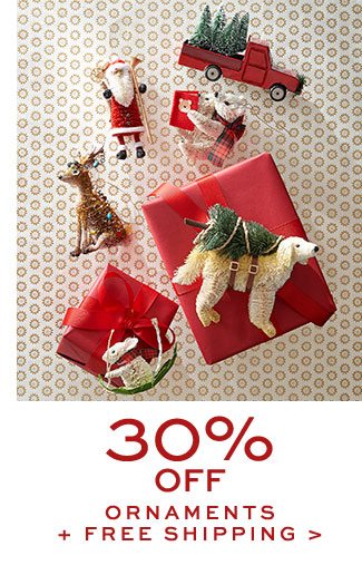 30% OFF ORNAMENTS + FREE SHIPPING