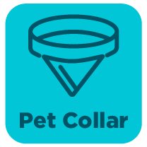 Pet Collars