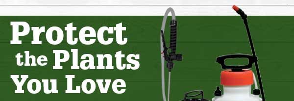 Protect the Plants You Love