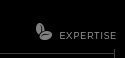 EXPERTISE