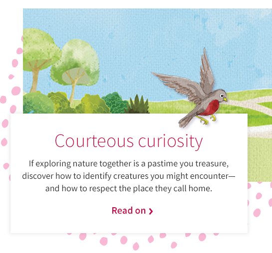 Courteous curiosity If exploring nature together is a pastime you treasure, discover how to identify creatures you might encounter—and how to respect the place they call home. Read on